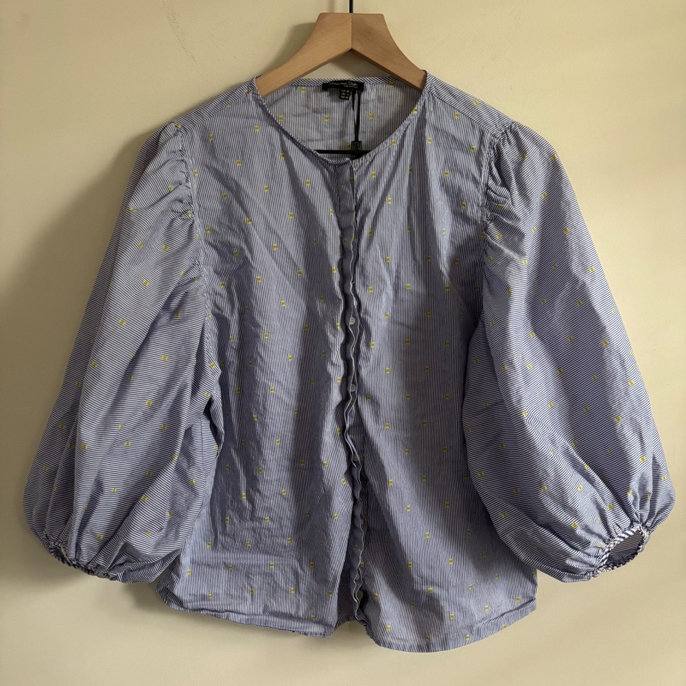 Massimo Dutti Blue White Striped Puff Sleeve Embroidered Blouse Size 6